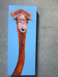 PamJuddCamel