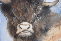 fluffy-cow-002-medium